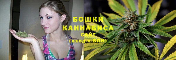 прущие грибы Бородино