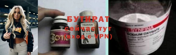прущие грибы Бородино