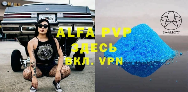 прущие грибы Бородино