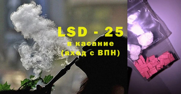 прущие грибы Бородино