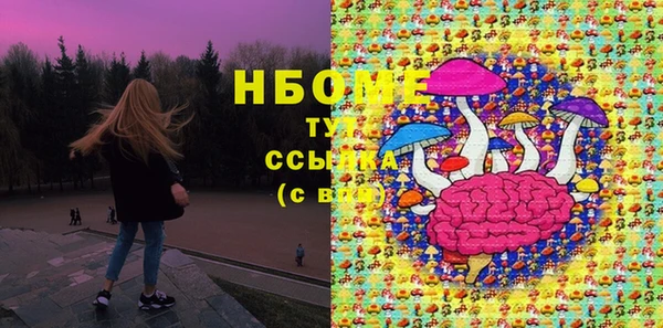 2c-b Ельня