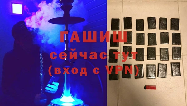 прущие грибы Бородино