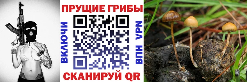 Псилоцибиновые грибы мицелий  маркетплейс формула  Верхоянск 